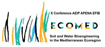 X Conference AEIP APENA EFIB – Call for papers